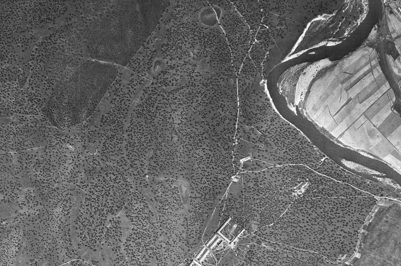 Ortofoto de 1956-1957 del núcleo de Alagón del Río
