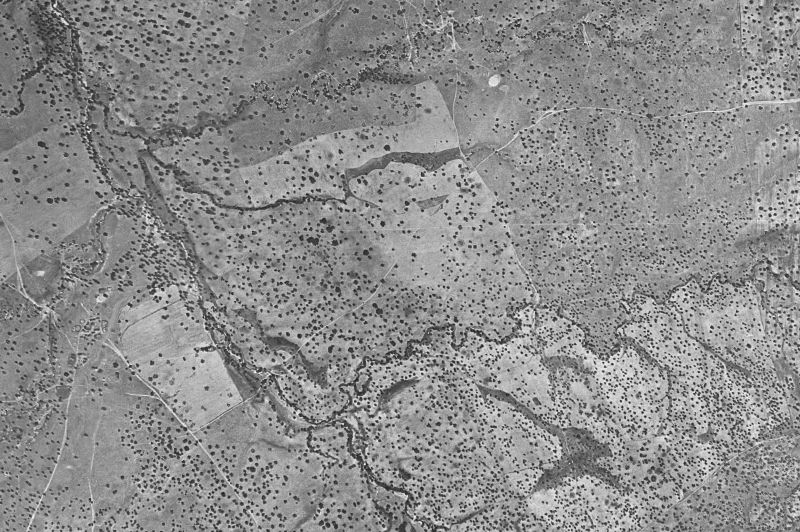 Ortofoto de 1956-1957 del núcleo de Tiétar