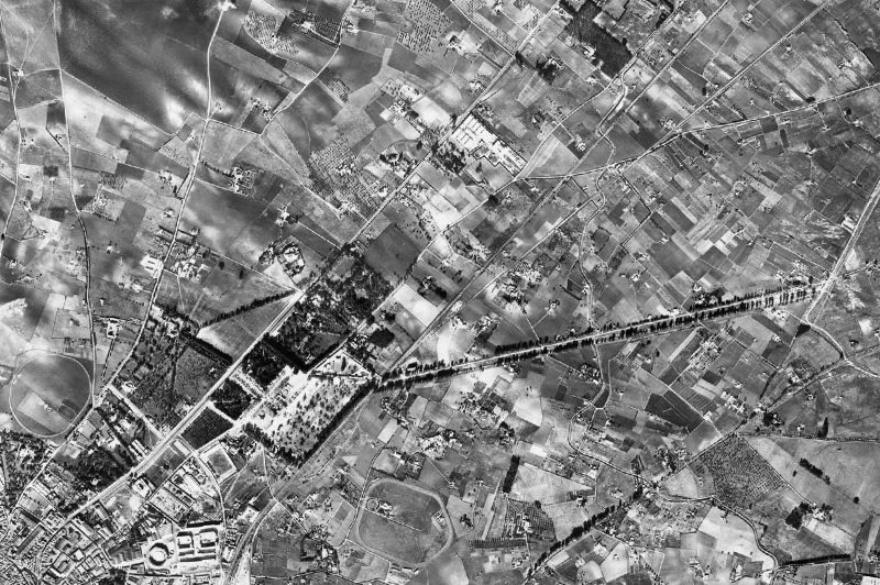 Ortofoto de 1956-1957 del núcleo de Jerez de la Frontera