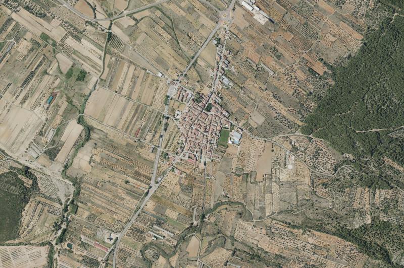 Ortofoto actual del núcleo de La Salzadella