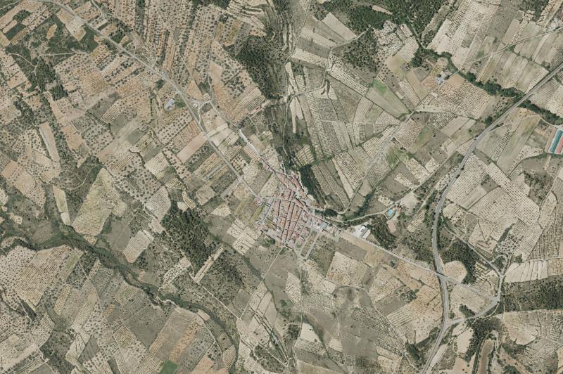 Ortofoto actual del núcleo de La Torre d'en Doménec