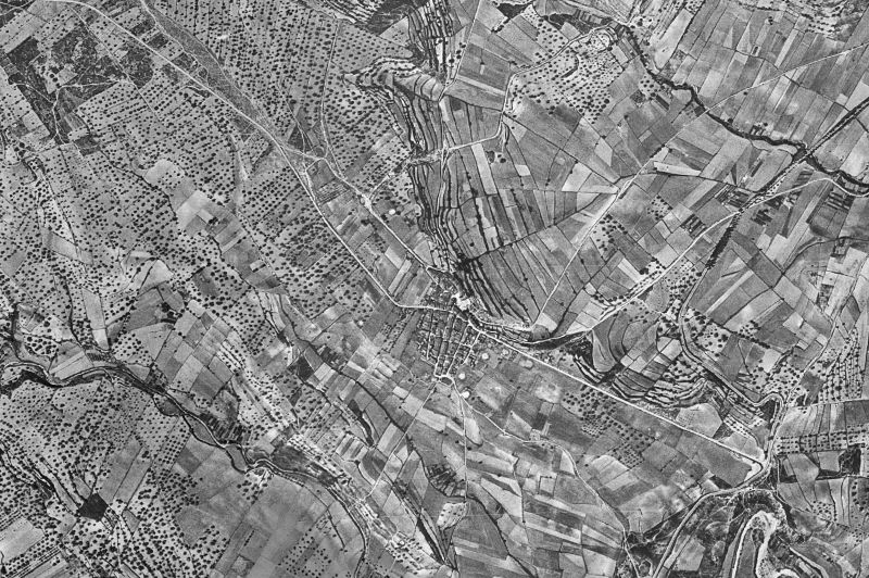 Ortofoto de 1956-1957 del núcleo de La Torre d'en Doménec