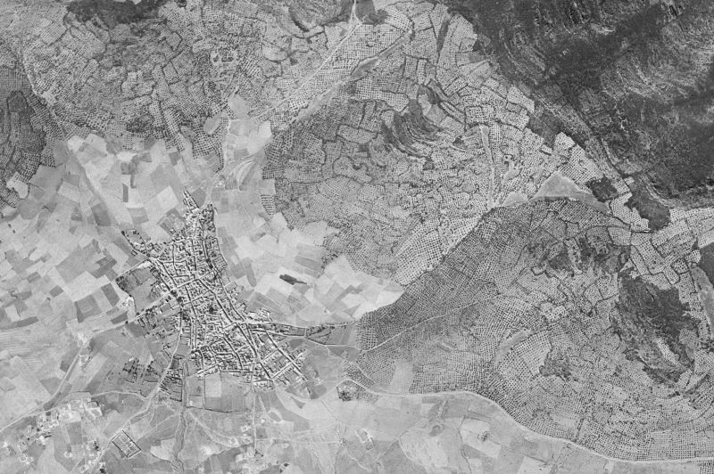 Ortofoto de 1956-1957 del núcleo de Hinojosas de Calatrava