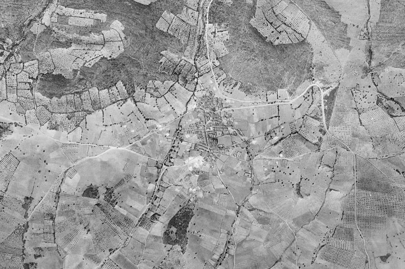 Ortofoto de 1956-1957 del núcleo de Navalpino