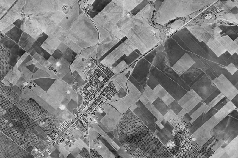 Ortofoto de 1956-1957 del núcleo de La Carlota