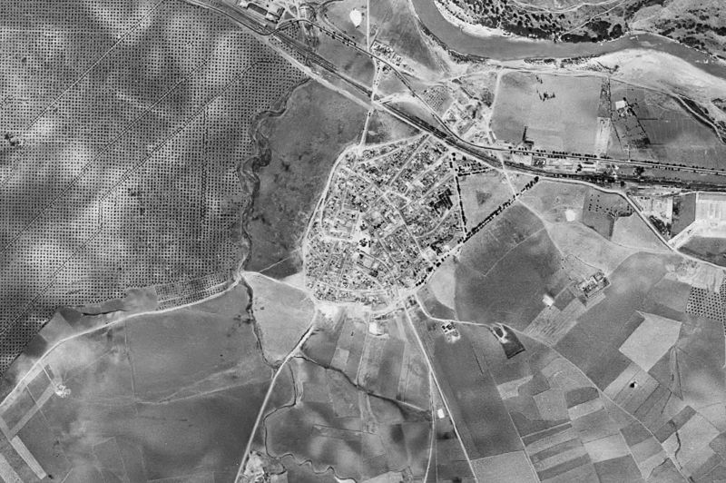 Ortofoto de 1956-1957 del núcleo de El Carpio
