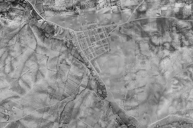 Ortofoto de 1956-1957 del núcleo de Nueva Carteya
