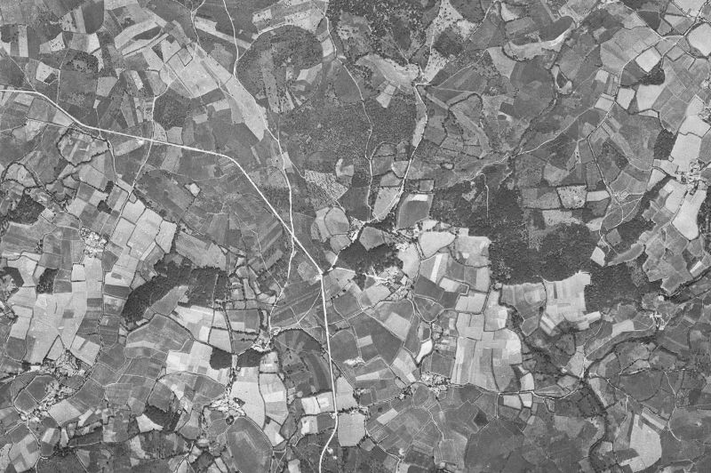 Ortofoto de 1956-1957 del núcleo de Frades