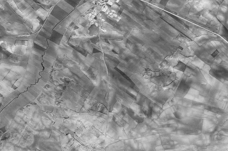 Ortofoto de 1956-1957 del núcleo de El Acebrón