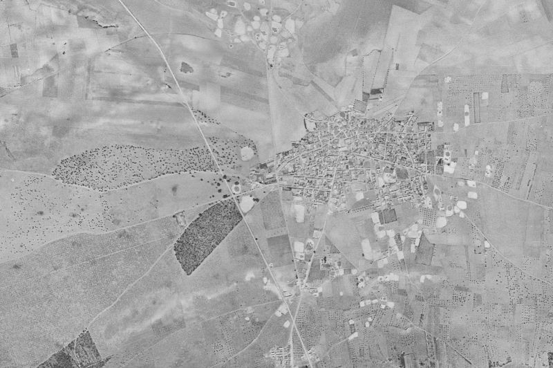 Ortofoto de 1956-1957 del núcleo de Casas de Fernando Alonso