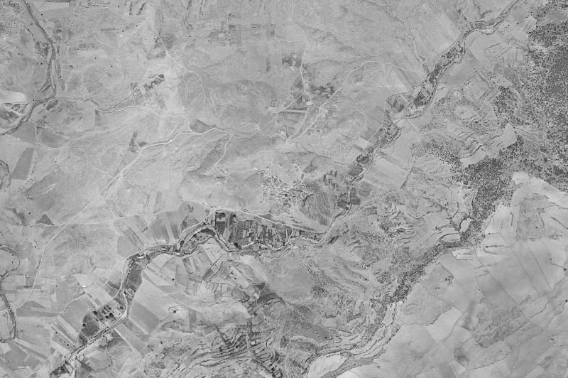 Ortofoto de 1956-1957 del núcleo de Narboneta