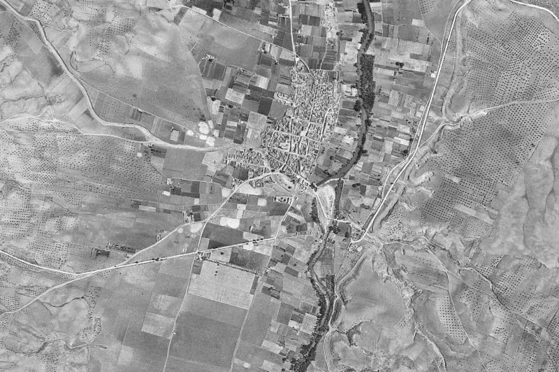 Ortofoto de 1956-1957 del núcleo de El Picazo