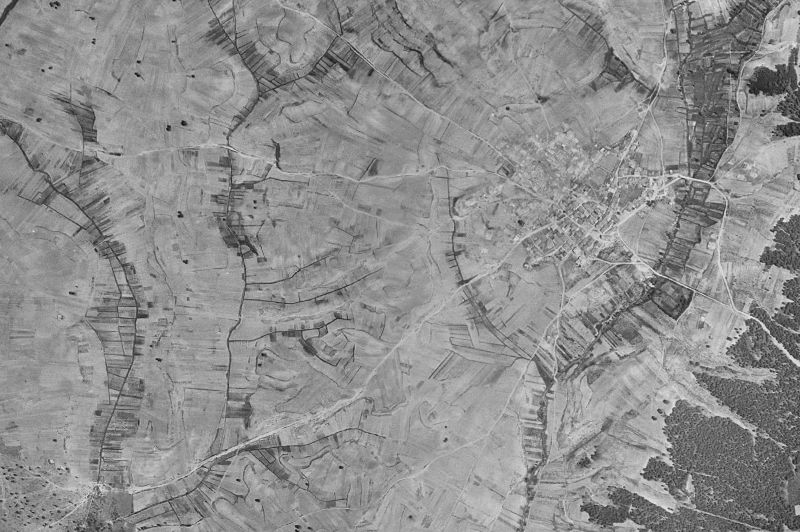 Ortofoto de 1956-1957 del núcleo de Zarzuela