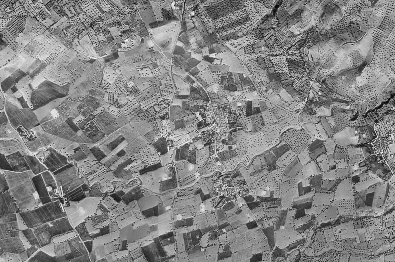 Ortofoto de 1956-1957 del núcleo de Pulianas