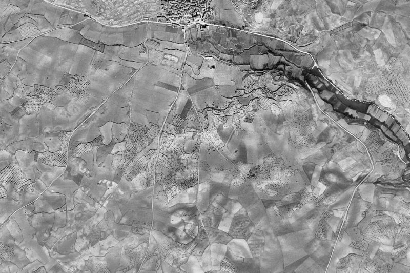 Ortofoto de 1956-1957 del núcleo de Albares