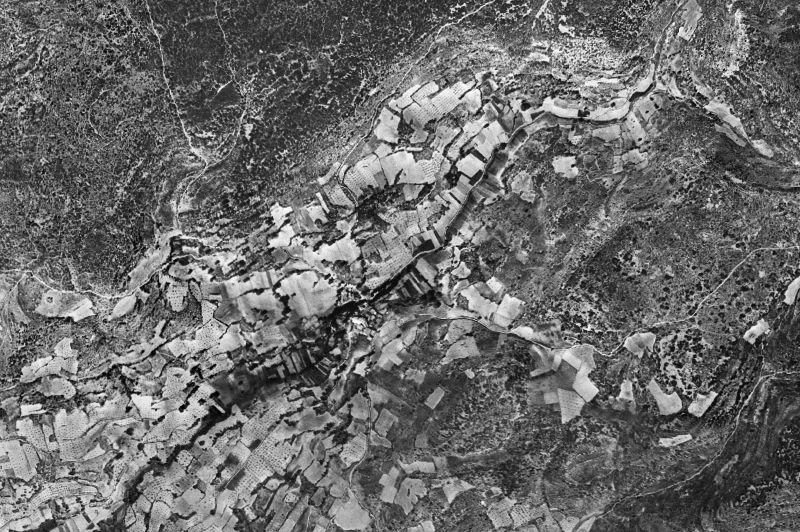 Ortofoto de 1956-1957 del núcleo de Alique