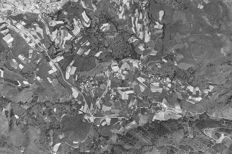 Ortofoto de 1956-1957 del núcleo de Leaburu