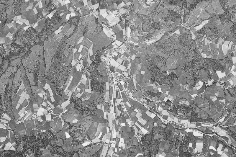 Ortofoto de 1956-1957 del núcleo de Zaldibia