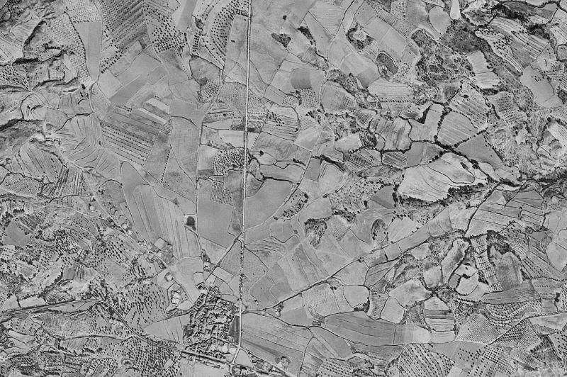 Ortofoto de 1956-1957 del núcleo de Angüés