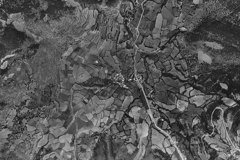 Ortofoto de 1956-1957 del núcleo de Bisaurri