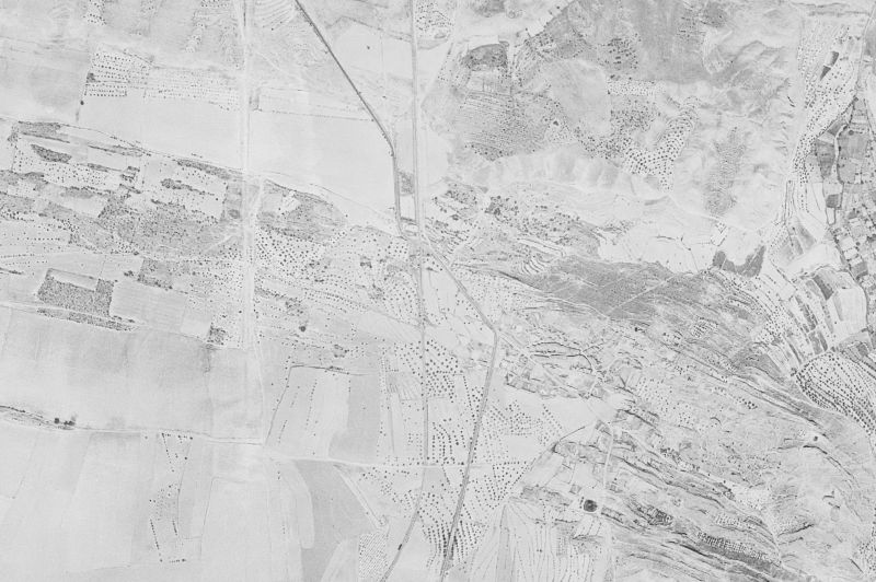 Ortofoto de 1956-1957 del núcleo de Castejón del Puente