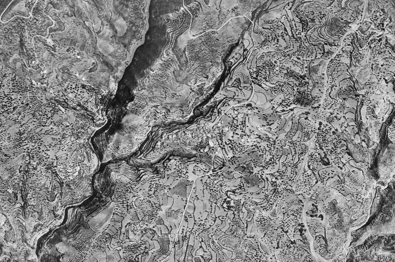 Ortofoto de 1956-1957 del núcleo de Colungo