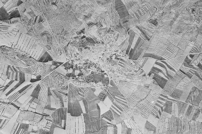 Ortofoto de 1956-1957 del núcleo de Fonz