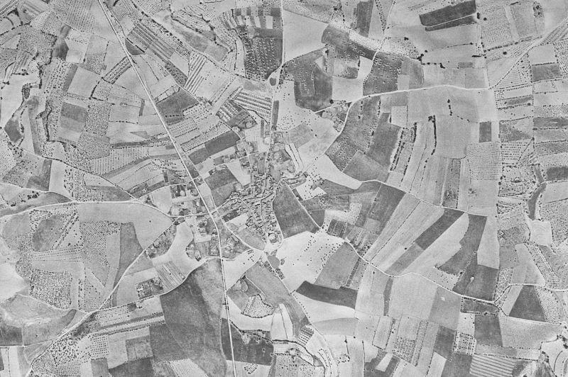 Ortofoto de 1956-1957 del núcleo de Laluenga