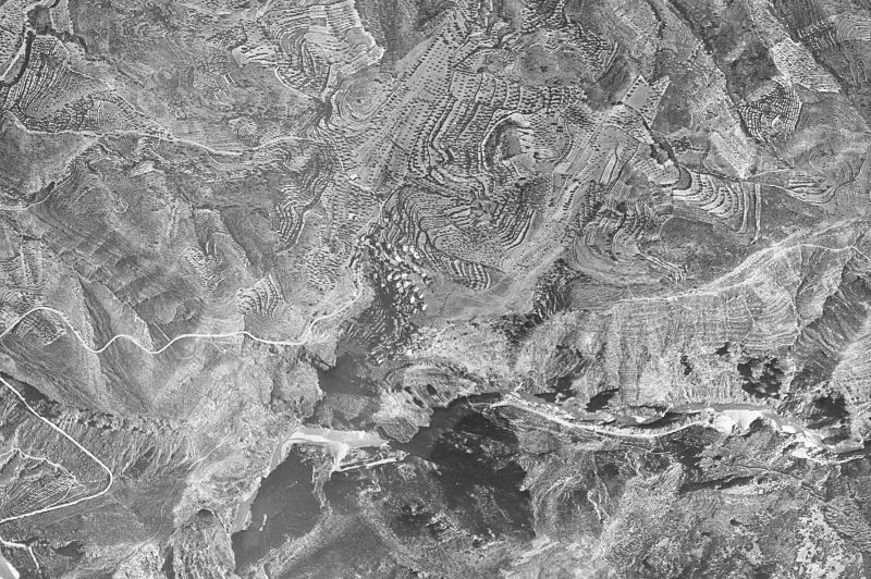 Ortofoto de 1956-1957 del núcleo de Olvena