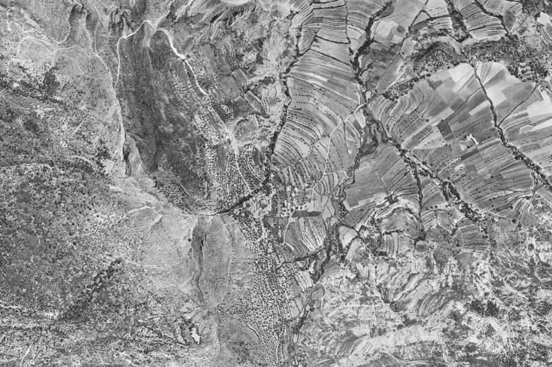 Ortofoto de 1956-1957 del núcleo de Palo