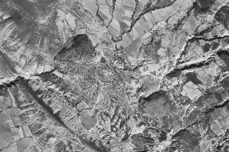 Ortofoto de 1956-1957 del núcleo de El Pueyo de Araguás