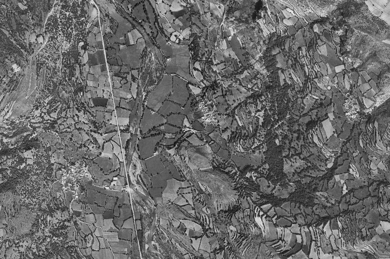 Ortofoto de 1956-1957 del núcleo de Sesué