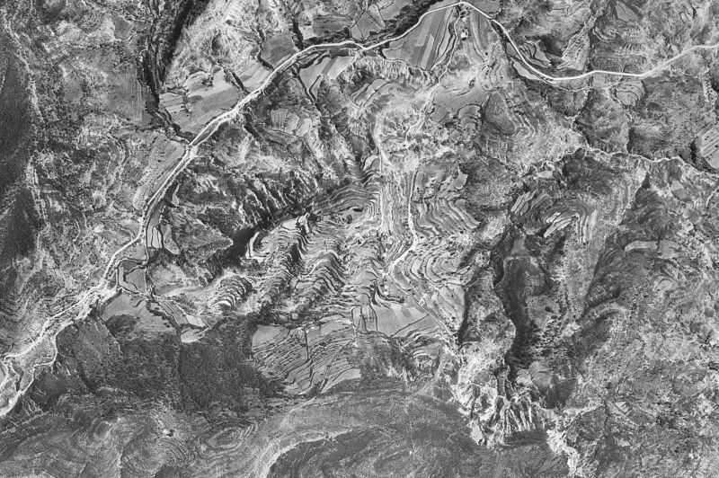 Ortofoto de 1956-1957 del núcleo de Viacamp y Litera