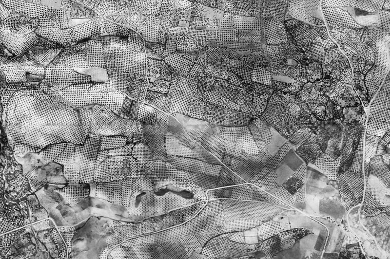 Ortofoto de 1956-1957 del núcleo de Bedmar y Garcíez