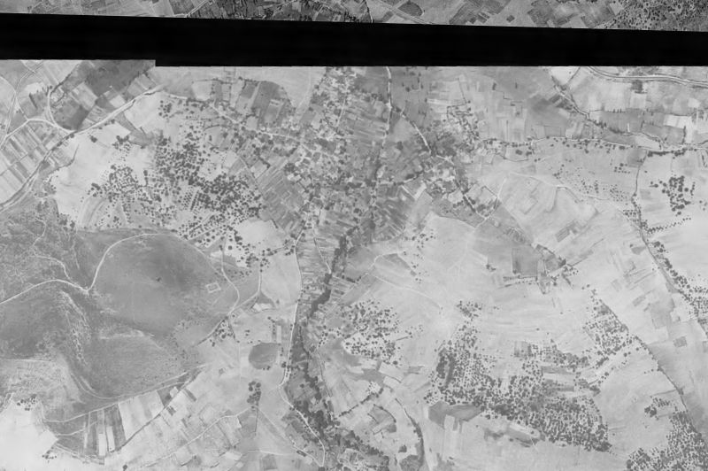 Ortofoto de 1956-1957 del núcleo de Borrenes