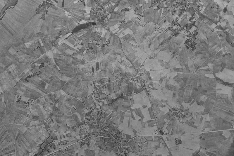Ortofoto de 1956-1957 del núcleo de Cabañas Raras
