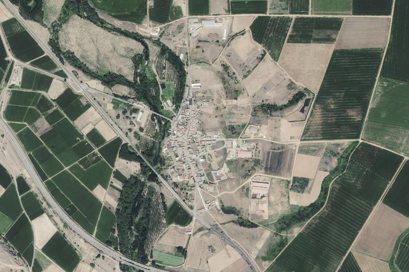 Ortofoto actual del núcleo de Cebrones del Río