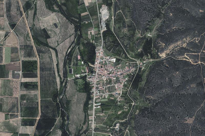 Ortofoto actual del núcleo de Cimanes del Tejar