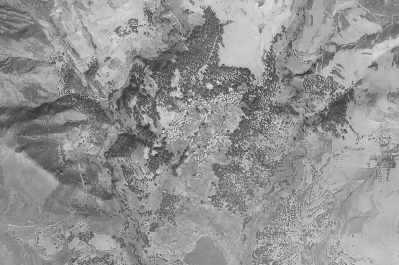 Ortofoto de 1956-1957 del núcleo de Oencia