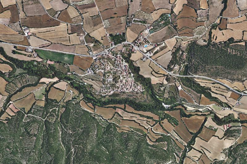 Ortofoto actual del núcleo de Àger