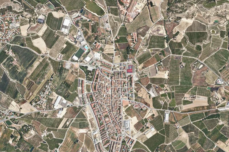 Ortofoto actual del núcleo de Alpicat