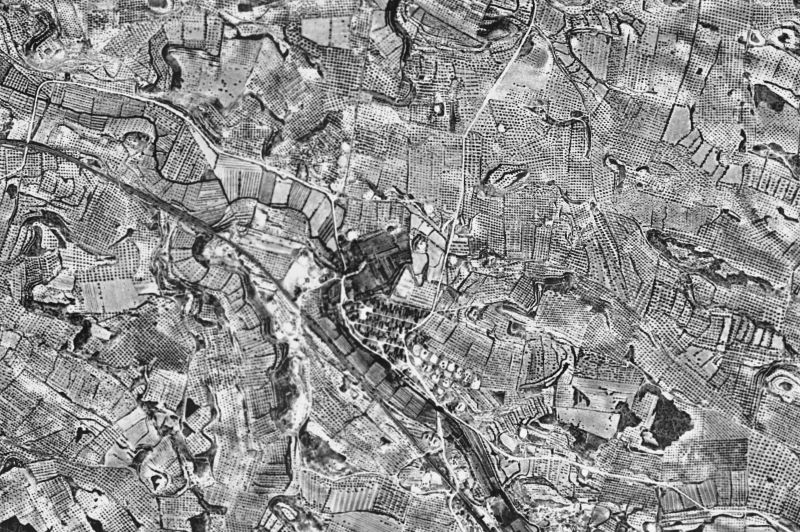 Ortofoto de 1956-1957 del núcleo de La Floresta