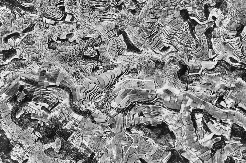 Ortofoto de 1956-1957 del núcleo de Els Omells de na Gaia