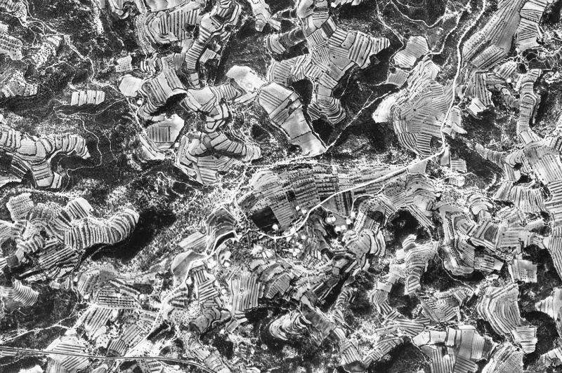 Ortofoto de 1956-1957 del núcleo de Tarrés