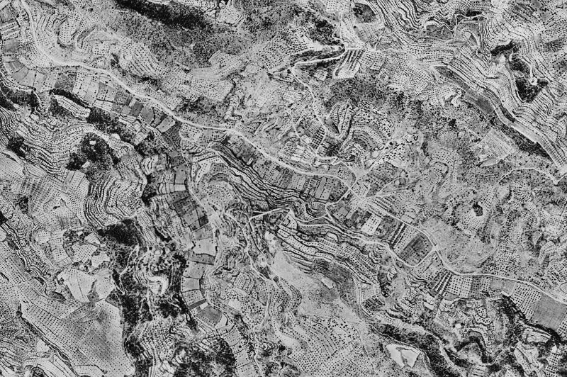 Ortofoto de 1956-1957 del núcleo de Els Torms
