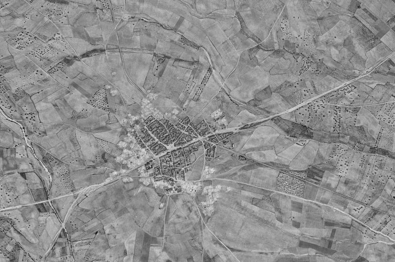 Ortofoto de 1956-1957 del núcleo de El Álamo