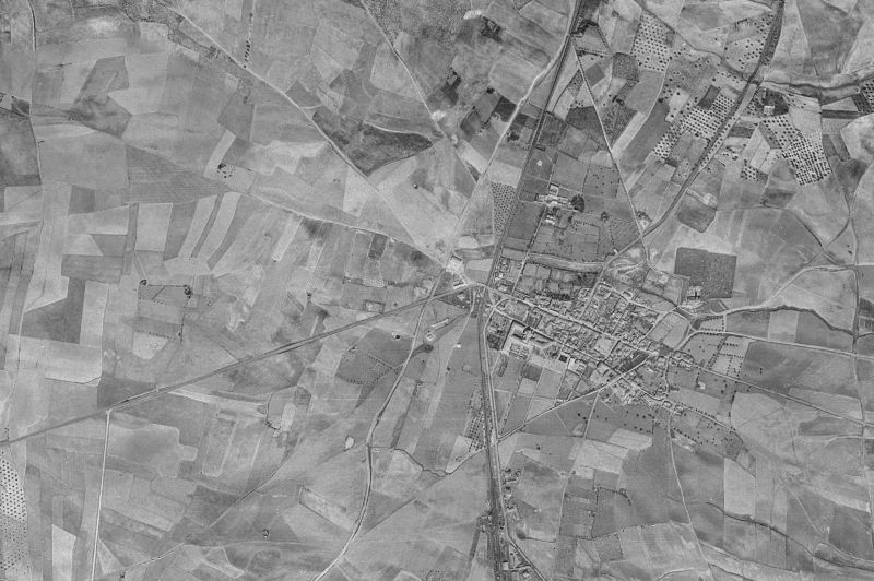 Ortofoto de 1956-1957 del núcleo de Griñón