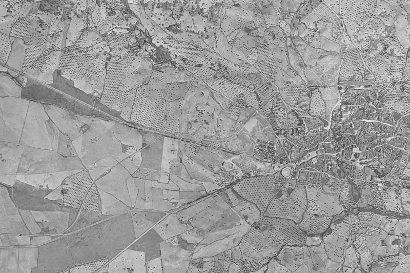 Ortofoto de 1956-1957 del núcleo de San Martín de Valdeiglesias