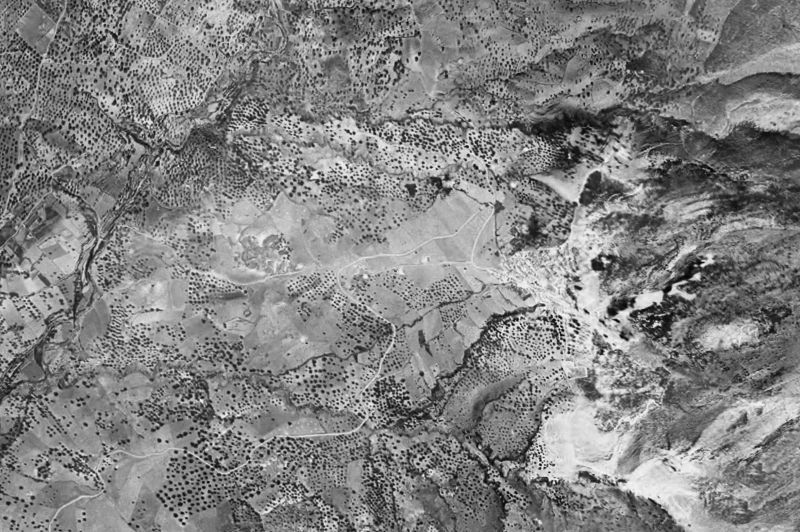 Ortofoto de 1956-1957 del núcleo de Alcaucín