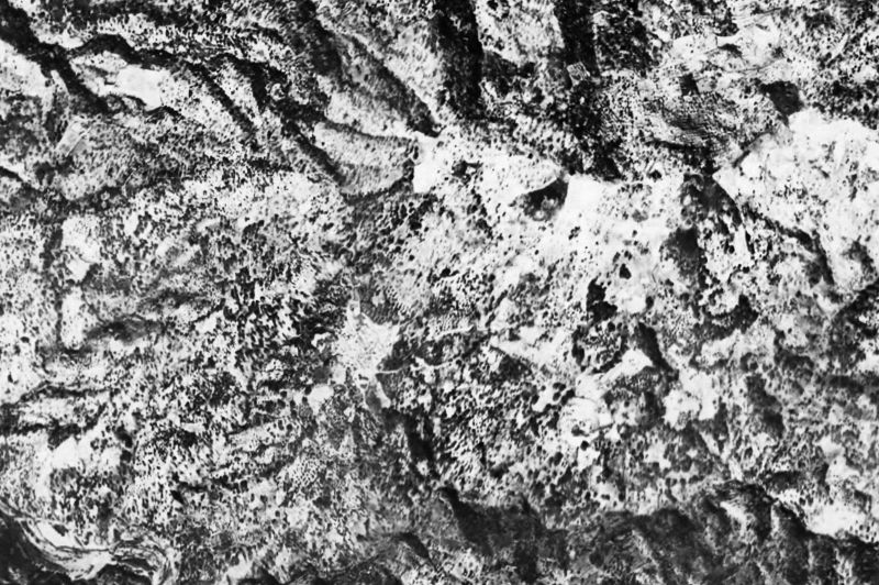 Ortofoto de 1956-1957 del núcleo de Genalguacil